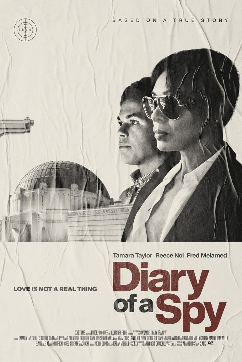 Постер Diary of a Spy